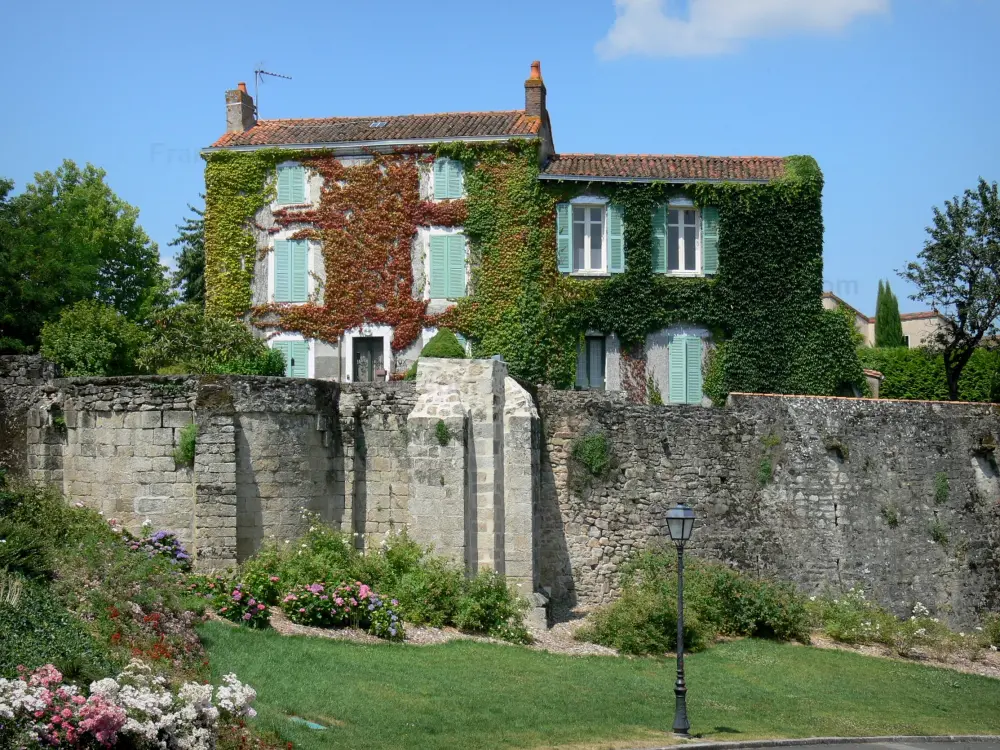 Parthenay - Maison couverte de vigne vierge, remparts, lampadaire et massifs de fleurs de la ville médiévale