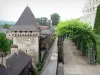 Pau - Tonnelle de vigne du jardin Renaissance du château et tour de la Monnaie