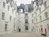 Paulo - Pátio e fachadas do Château de Pau