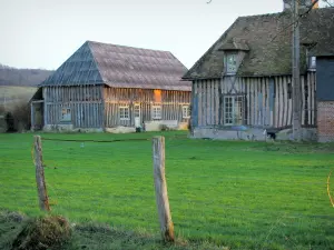 Pays d'Auge - Bauernhof mit Fachwerk