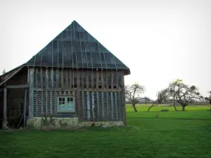 Pays d'Auge - Scheune, Wiese und Bäume