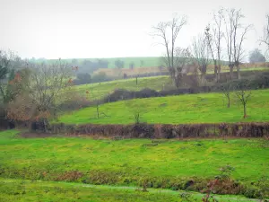 Pays de Bray - Prairies verdoyantes et arbres