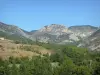 Pays Diois - Paysage de forêt et de petites montagnes