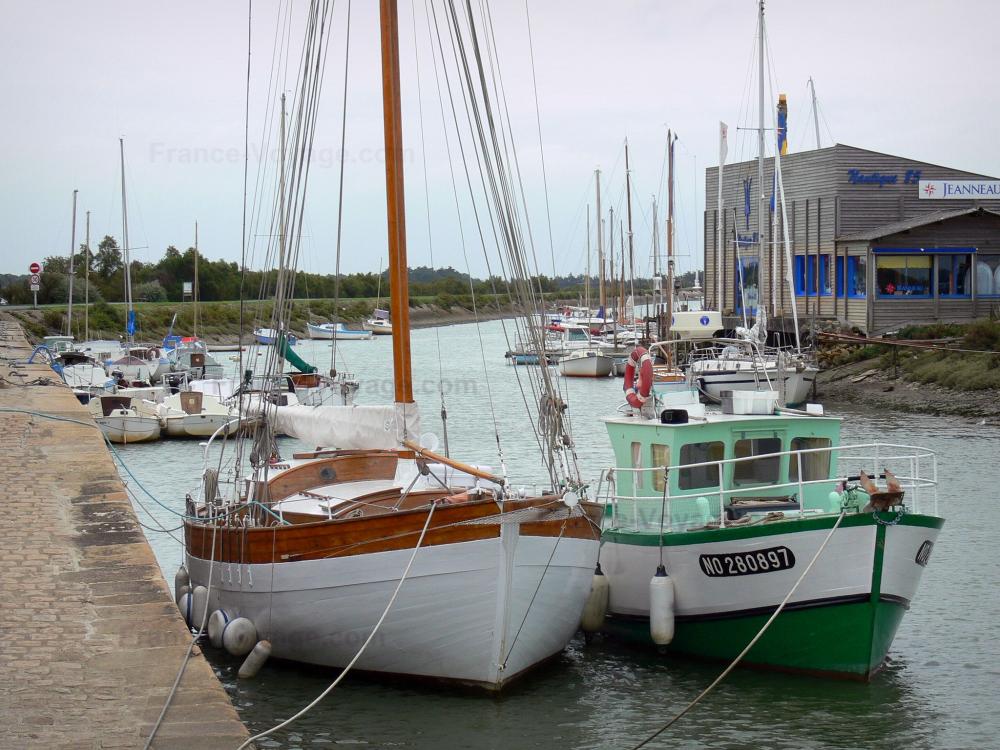 Guide des Pays de la Loire - Île de Noirmoutier - Noirmoutier-en-l'Île : port avec ses bateaux amarrés