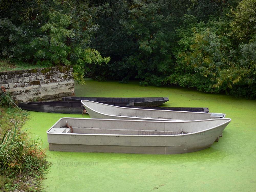 Guide des Pays de la Loire - Paysages de Vendée - Marais poitevin (marais mouillé) : barques sur une conche (petit canal) de la Venise verte et arbres au bord de l'eau, à Maillezais