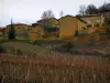 Pays des Pierres Dorées - Maisons en pierre dominant un champ de vignes (vignoble du Beaujolais)