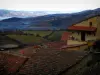 Pays des Pierres Dorées - Toits des maisons du village médiéval d'Oingt avec vue sur les collines environnantes