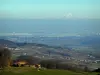 Paysages - Pâturages, maisons et massif du Mont-Blanc au loin