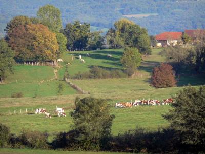 ain paysage