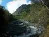 Paysages alpins de Savoie - Arbres, forêt et cours d'eau avec des rochers