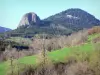 Paysages de l'Ardèche - Parc Naturel Régional des Monts d'Ardèche - Montagne ardéchoise : vue sur le Gouleyou (petit Gerbier) et le suc de Touron ; pré entouré d'arbres en premier plan