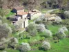 Paysages de l'Ardèche - Bâtisses en pierre entourées d'arbres