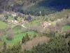 Paysages de l'Ardèche - Maisons au bord d'une petite route, dans un cadre arboré