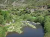 Paysages de l'Ardèche - Vallée de l'Eyrieux : arbres au bord de la rivière Eyrieux