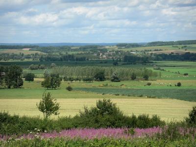 ardennes paysages