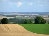 Paysages des Ardennes - Succession de champs entrecoupés d'arbres