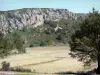 Paysages de l'Aude - Massif de la Clape, dans le Parc Naturel Régional de la Narbonnaise en Méditerranée : escarpement rocheux et végétation