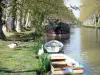 Paysages de l'Aude - Canal du Midi : canards et oies au bord de l'eau, et bateaux amarrés