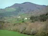 Paysages de l'Aude - Fermes entourées de prés et de forêt
