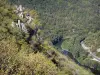 Paysages de l'Aveyron - Paysage verdoyant des gorges du Lot