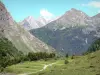 Paysages du Béarn - Chemin bordé de prairies avec vue sur les montagnes pyrénéennes