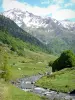Paysages du Béarn - Parc National des Pyrénées : gave de Brousset, rives verdoyantes et montagnes pyrénéennes