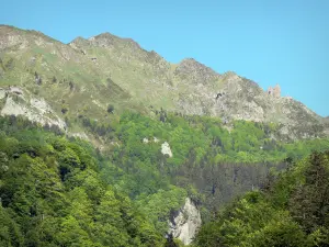 Paysages du Béarn - Forêt au pied d'une montagne