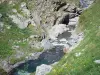 Paysages du Béarn - Ruisseau de montagne et fleurs sauvages, dans le Parc National des Pyrénées