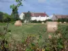Paysages du Berry - Parc Naturel Régional de la Brenne : végétation en premier plan avec vue sur une ferme et des bottes de foin dans un pré