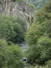 Paysages du Bourbonnais - Gorges de Chouvigny (gorges de la Sioule) : rivière Sioule bordée d'arbres, et parois rocheuses