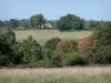 Paysages du Bourbonnais - Alternance de champs et d'arbres
