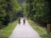 Paysages de la Bourgogne du Sud - Piste cyclable de la Voie Verte (ancienne voie ferrée) bordée d'arbres, cyclistes (pratique du vélo)