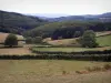 Paysages de la Bourgogne du Sud - Morvan (Parc Naturel Régional du Morvan) : pâturages, arbres et forêts