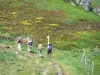 Paysages du Cantal - Parc Naturel Régional des Volcans d'Auvergne : randonneurs marchant sur un sentier des monts du Cantal