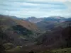 Paysages du Cantal - Parc Naturel Régional des Volcans d'Auvergne : monts du Cantal couverts de forêts et de pâturages