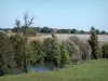 Paysages de Charente - Arbres au bord de l'eau, prairie, champs et maisons