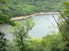 Paysages de la Corrèze - Gorges de la Dordogne : vue sur la rivière entourée d'arbres