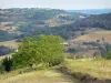 Paysages de la Corrèze - Paysage de l'Yssandonnais