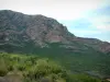 Paysages de Corse intérieure - Maquis et paroi rocheuse d'une montagne