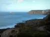Paysages de la Côte d'Émeraude - Côte sauvage en partie recouverte d'herbage, mer (la Manche) et cap Fréhel au loin