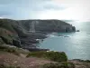 Paysages de la Côte d'Émeraude - Du cap Fréhel, vue sur falaises, côte découpée, arbustes, rochers et mer (la Manche)