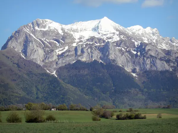 Paysages du Dauphiné - Trièves : pâturages, arbres, forêt et montagne au sommet enneigé