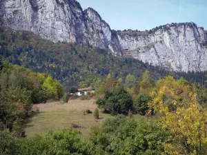 Paysages du Dauphiné - Forêt dominée par les falaises (parois rocheuses) du massif de la Chartreuse