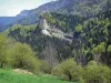 Paysages du Dauphiné - Parc Naturel Régional du Vercors (massif du Vercors) : prairie plantée d'arbres et montagne couverte de forêt au printemps