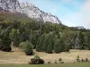 Paysages du Dauphiné - Parois rocheuses du massif de la Chartreuse, forêt et herbages