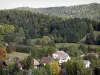 Paysages du Dauphiné - Maisons entourées d'arbres et de prés, forêt dominant l'ensemble