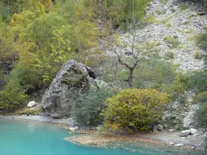 Paysages du Dauphiné - Vallée du Vénéon (massif des Écrins - Oisans) : torrent du Vénéon, rochers et arbustes