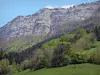 Paysages du Dauphiné - Parc Naturel Régional du Vercors (massif du Vercors) : parois rocheuses (falaises) dominant forêt, arbres et pâturages ; au printemps