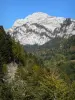 Paysages du Dauphiné - Parc Naturel Régional de Chartreuse (massif de la Chartreuse) : parois rocheuses surplombant la forêt