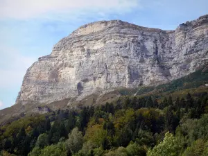 Paysages du Dauphiné - Parc Naturel Régional de Chartreuse (massif de la Chartreuse) : Dent de Crolles (montagne) et forêt